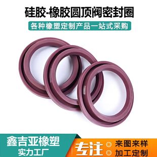 Power Plant Dome Valve Seal Ring Pneumatic Plug-In Feed Valve Oil-Resistant High Temperature Dome Valve Seal Ring Manufacturer