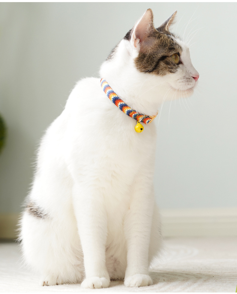 Pet Bell Collar Anti-suffocation Comfortable Safety Buckle display picture 1