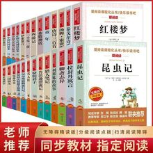 ����xϵ��ȫ�����������߰��꼉�n����x����ͯ������z���I�d