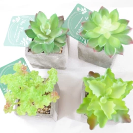 仿真绿植;植物工艺品;盆景