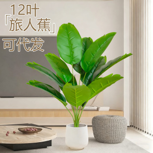 ���R�d����Gֲ���˽����W�����B�L����辰�쾰С�ͰŽ������l