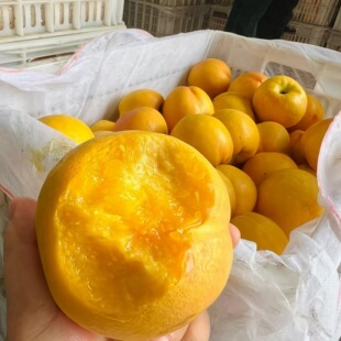 ��S���]�й��S��������5�����rˮ����������ˮ�����Ҵ��Ҵ��l