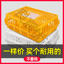 鸡笼运输笼塑料家禽周转箱筐成鸡鸭鹅鸽子笼子家用大号兔笼养殖笼
