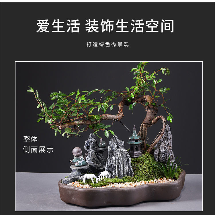 详情图