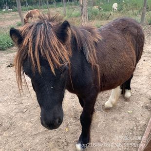 ���ﰫ�R ����С���R ��܇�R �T���R���B�@���R ���γ��T�R�r��