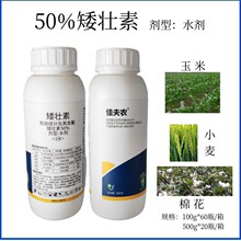 50%矮壮素棉花提高产量止疯长倒伏小麦玉米增产植物生长调节