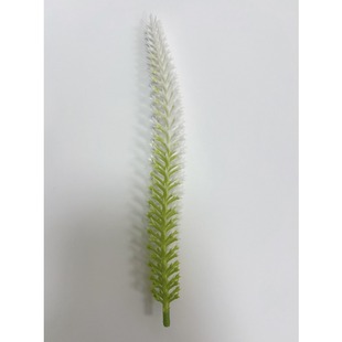 ����ֲ��޹�²����ϼٻ� 19cm�����մ��ĭֲ�q������컨���