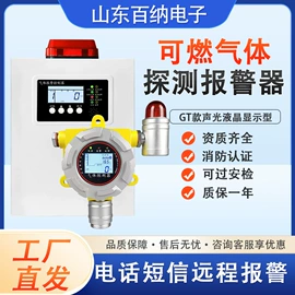 气体检测仪;其他气体分析;气体检测仪