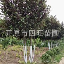 �＾���~���� �������~����Ǥ��С��ռ�ؘ��绨ƿ���͘�