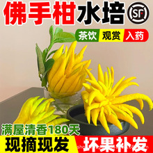 ���ָ����r�^�p�����ֹ�ˮ��ֲ��ʳ�ô���[���҃Ⱦ�Ʒ�ļ���