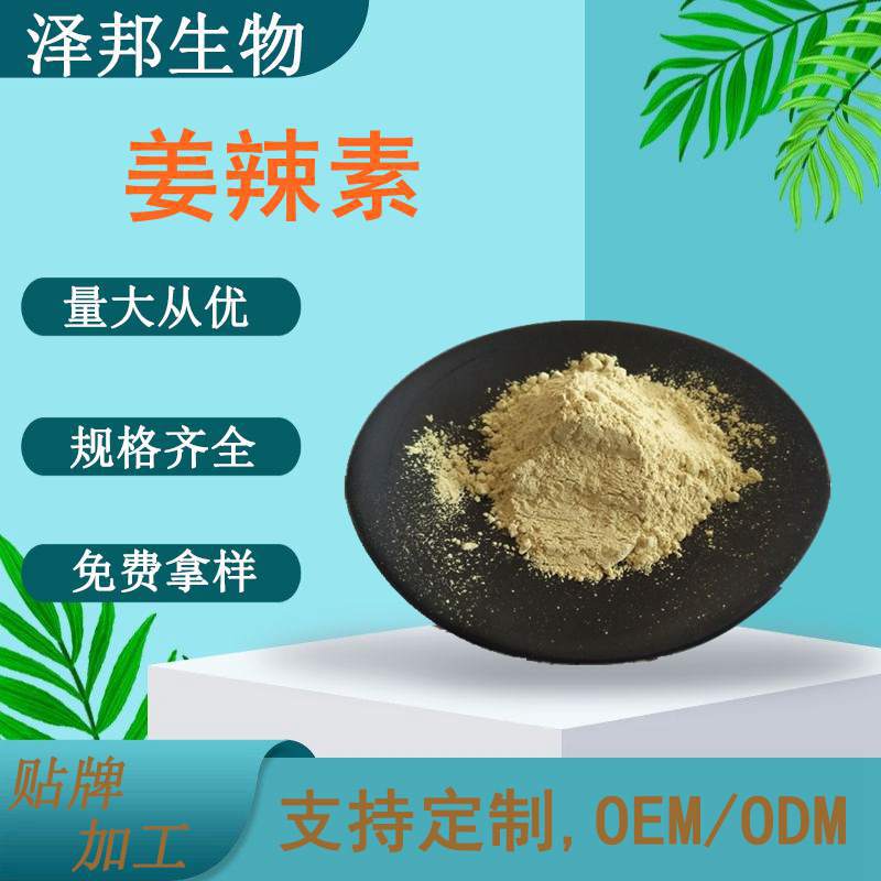 姜辣素10% 姜辣粉   生姜素多规格现货包邮 泽邦供应