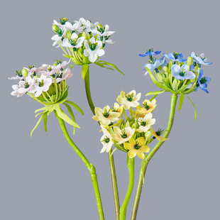 ���滨�Wʽ ���Z�q �Ҿӿ͏dܛ�b�c�Ƶ��̈������[����ˇ�ٻ�