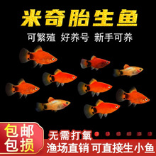 �Ꭷ�^�p�~�����~�S�����~С�͵�ˮ�~���R�~��ȸ�~̥���~���B