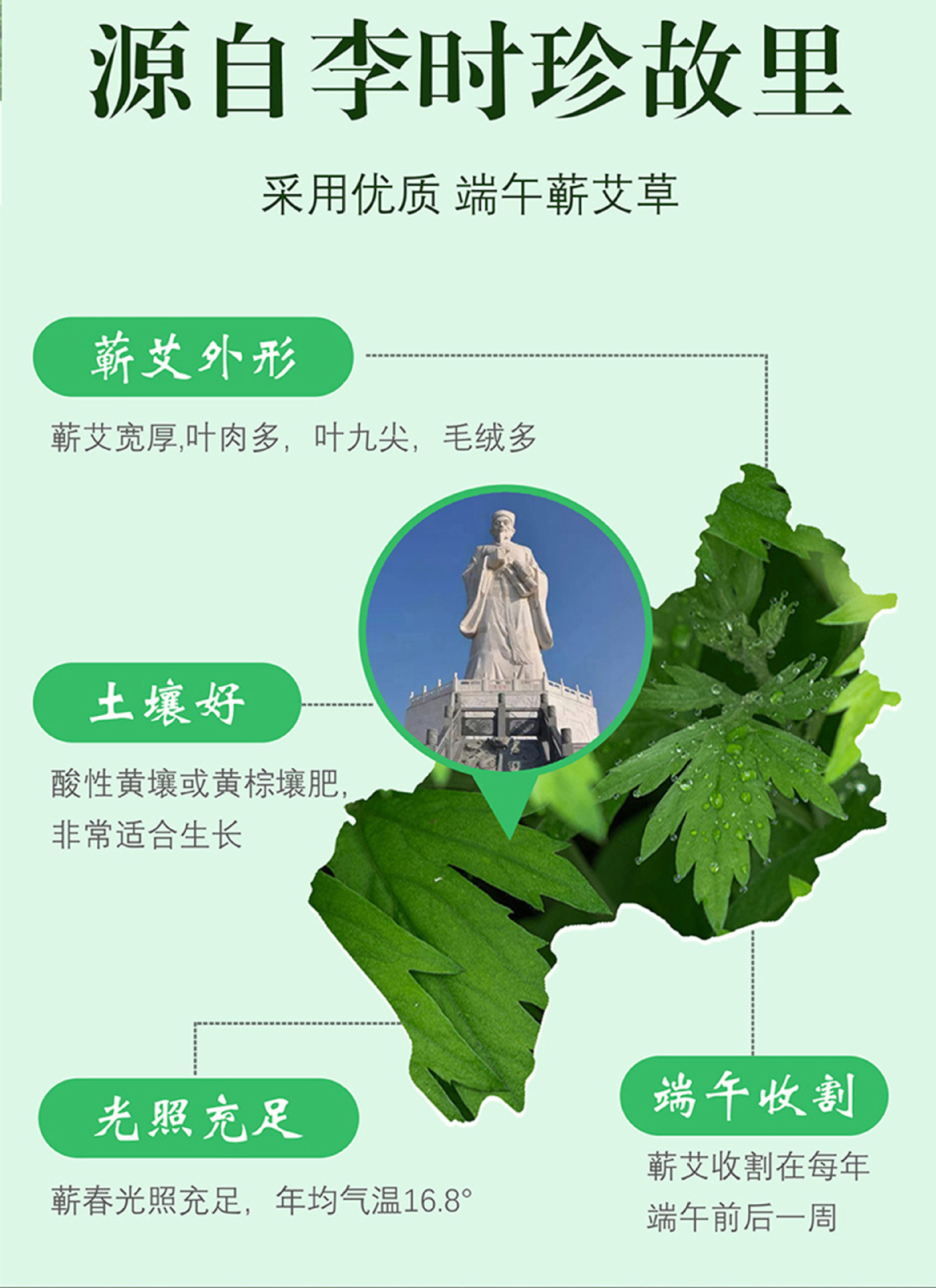 Qichun Mugwort Floss 250g Bag for Moxibustion Ai Rong specifications