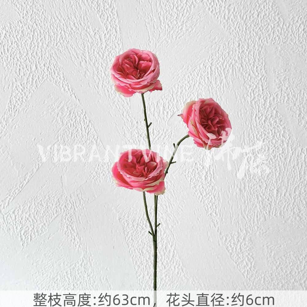 Rose red small austin