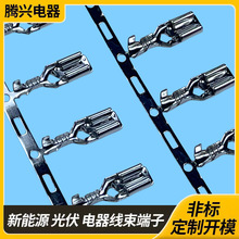 ���a����̩��187ĸ�˲�ɶ���4.8mm���˲����܇�Ӿ��~����