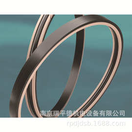 英国 James Walker 石油和天然气应用的弹性体 Teesele密封