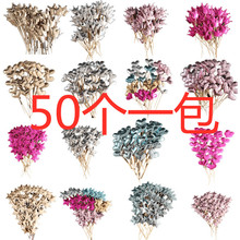 pu�����b��� pu���췴�⵰����� ���Ļʹ�����ǵ����b��