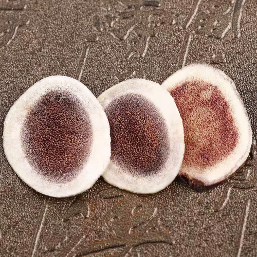 Deer Horn Slice Ginseng Gift Box, 7-10 Year Wild Mountain Ginseng Northeast Specialty Deer Horn Slice Manufacturer Wholesale Ginseng Gift