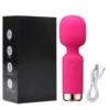 02 vibrator (rose red)