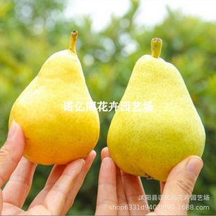 ̫������ ����޽ӹ����箔��Y�� �㽶������^������ܛ�������