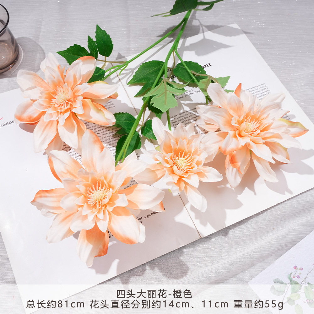 WP - Hoa Thược Dược Bốn Đầu - Cam