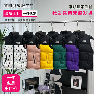 Putian Beijia 1996 Children's Wear Down Goose Vest Trendy Brand Classic New Goose Vest for Men and Women Warm Outdoor