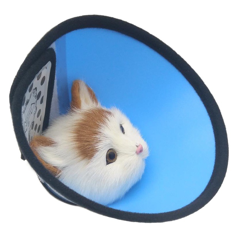 Candy color Elizabeth ring dog collar pet anti-licking and biting ring deepening large dog soft head cover shame ring