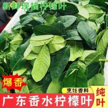 �����~���r̩���͏d��ꎹ����~�����̲�����ϼ��~��֦��ˮ�����~