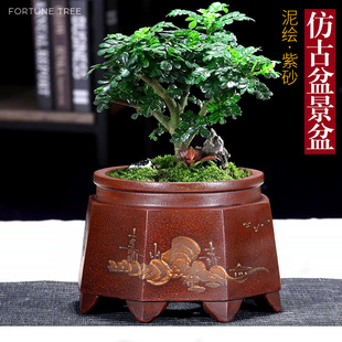 ��ɰ���������������С�~��̴�k���ҿ͏d�҃Ⱦ�Ʒ�ߙn�F�^����]