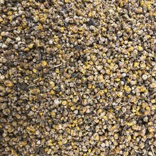 ���lҰ�ջ� Ұ�S�ջ� �� �SͶ�� ���NҎ�� ������