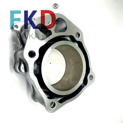 Cylinder and parts for Honda Motorcycle