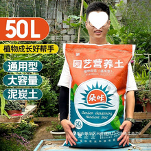 ǠIBBNͨü÷NЙC̿Ҭu