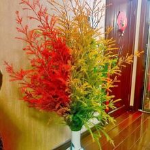 ��ϻ���ֱ�lǧ�ӽ��S�������k���ҿ͏d�廨�r��ˮ��ɻ�ˮ������