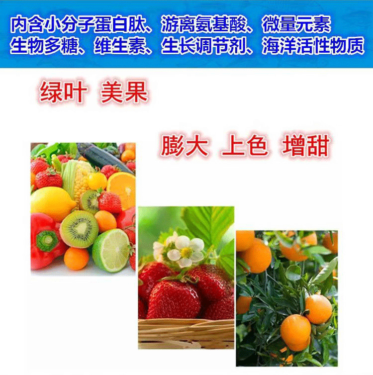 详情1-8_16.gif
