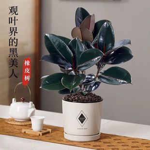 �ڽ�����Ƥ�������҃ȴ��~�Gֲ�ļ����B�׻�����ֲ���k����