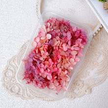 ����Ę�ϊy���N�������y�ɻ��NĘ�Ʒ����y������Ӱ����Ů�y