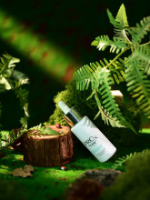 ɭϵ̦\ƤbaƷյyzӰb[Ƥ