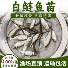 �����~���ش�̖�������r�����˃ɴ��^�������~�~�����~�r���Bֳ