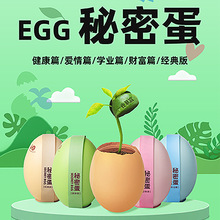 小花农种植小盆栽秘密蛋创意桌面摆件趣味励志祝福语盆栽盲盒批发