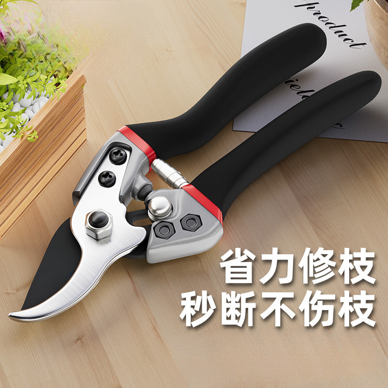 修枝剪园艺剪刀剪树枝剪刀园林修剪果树修枝花艺修花剪