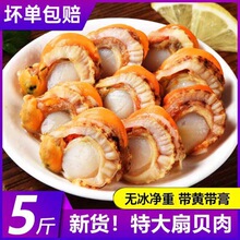 �ش�̖��ؐ��o�������r�����ؐ�o����ؐ��r���rˮ�a�������l