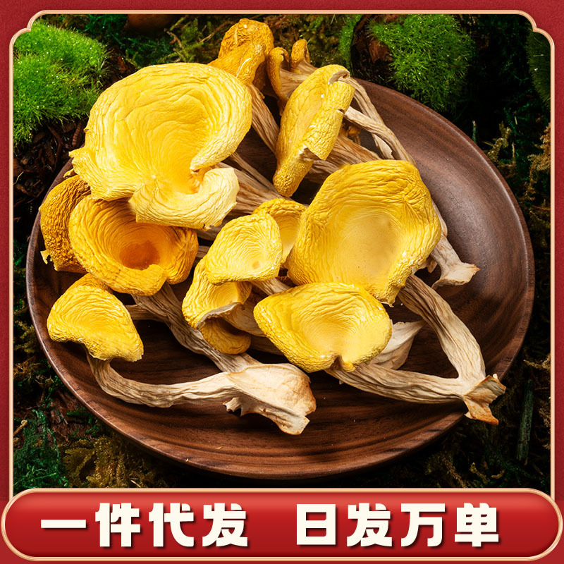 鸡油菌源头基地直供云南特产食用菌黄丝菌煲汤榆黄菇干货蘑菇批发