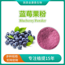蓝莓果粉 蓝莓提取物 蓝莓花青素 蓝莓汁粉 蓝莓冻干粉 500克起