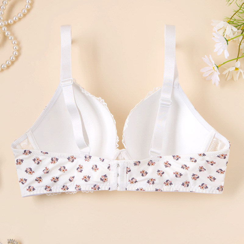 Europa y Estados Unidos transfronterizos aumentan el tamaño de la impresión de encaje del bra grande se reúnen en la parte superior de la ropa interior de pecho grande para mujeres pequeñas image 5