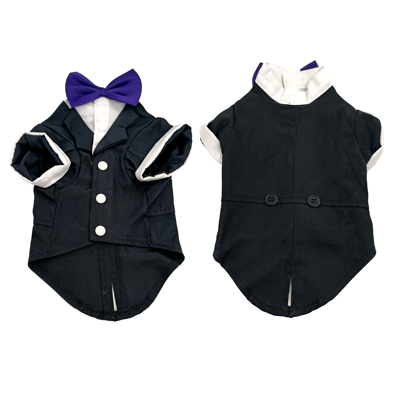 紫色领结西装平铺正反面