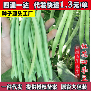 �����м��ļ����N�������ļ���ܿ�����ǷN�Ӽt���o���ļ����N