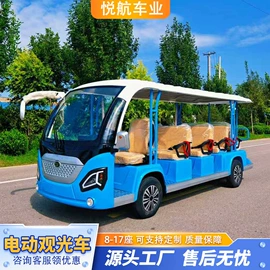 电动观光车;高尔夫球车;其他电动车