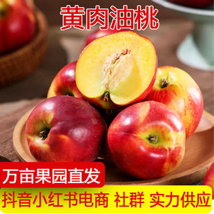 �a��ֱ�l�S�������������rˮ���S�Ҵ��𑪮��������ЋDһ�����l