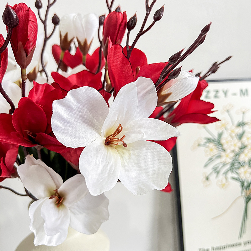 Simulación de magnolia única 5 horquilla 20 orquídeas decoración del hogar adornos de plástico flores falsas props de disparo al por mayor